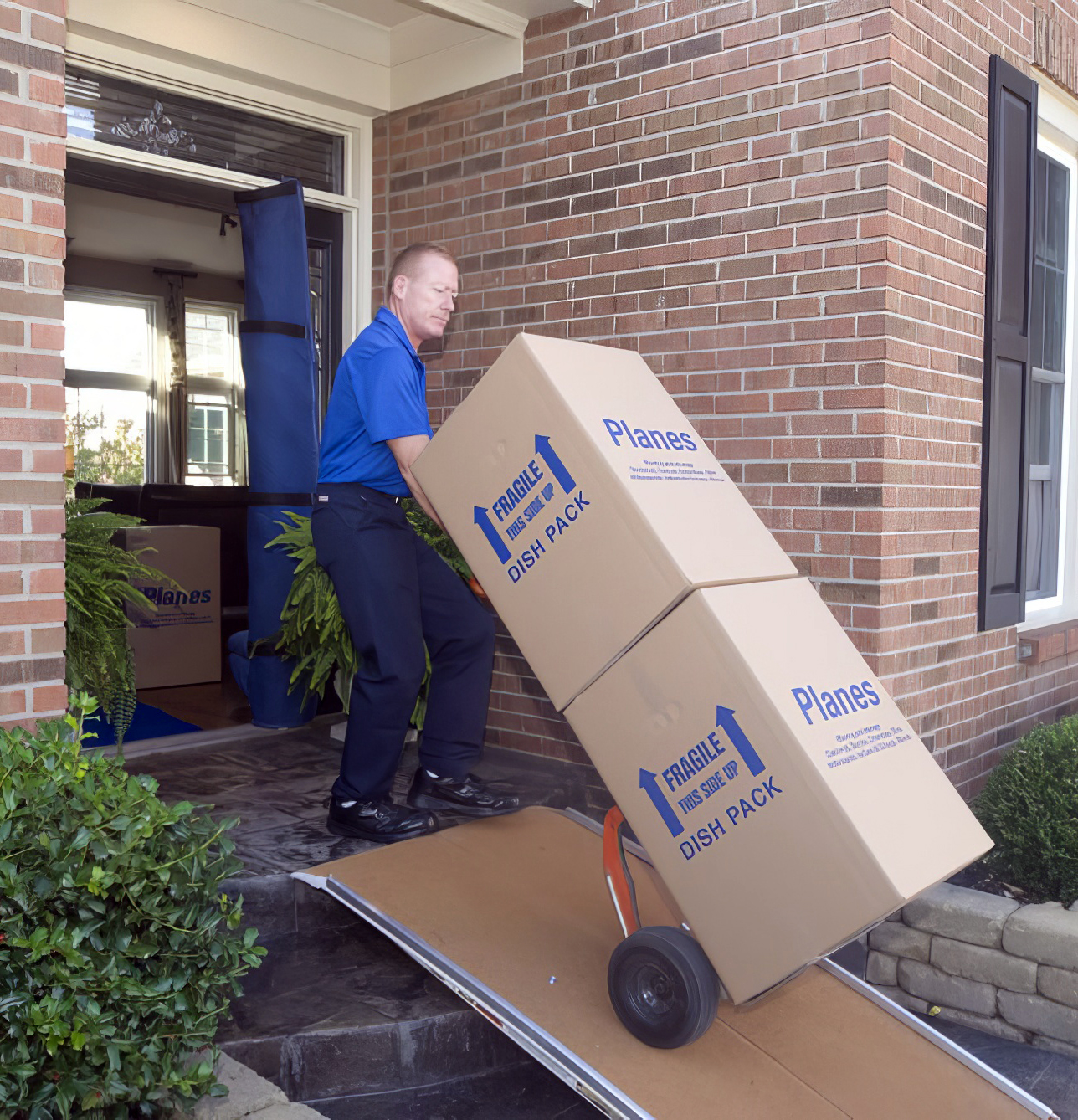 Planes Moving and Storage to a new home